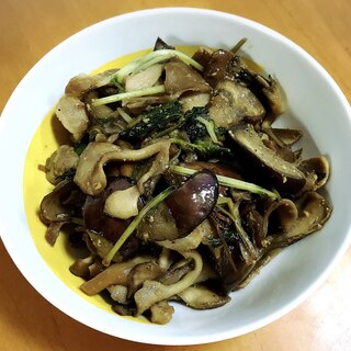 豆苗*ナス*まいたけ*豚バラ肉の味噌炒め